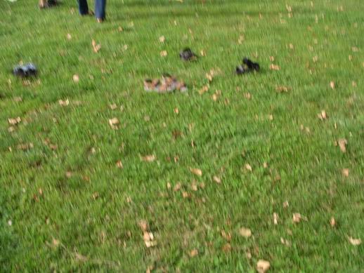 Mit Doppelklick auf das Foto, ffnet sich das grosse Foto