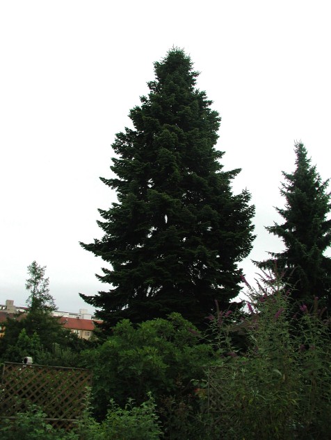 Mit Doppelklick auf das Foto, ffnet sich das grosse Foto