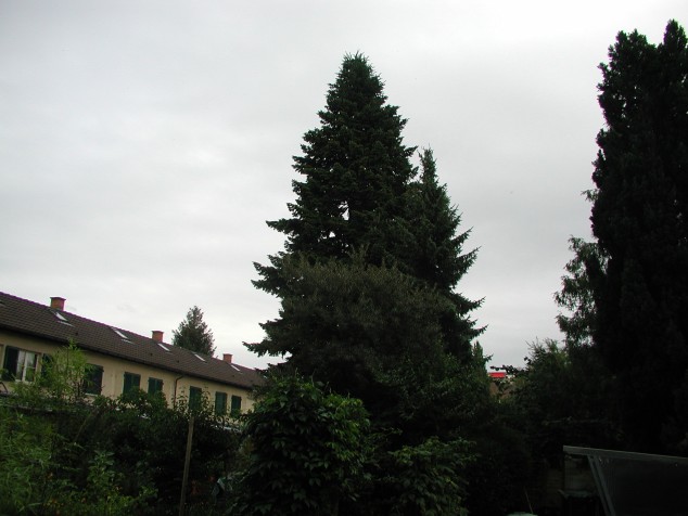 Mit Doppelklick auf das Foto, ffnet sich das grosse Foto