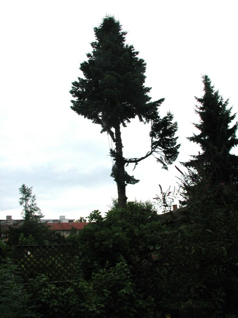 Mit Doppelklick auf das Foto, ffnet sich das grosse Foto