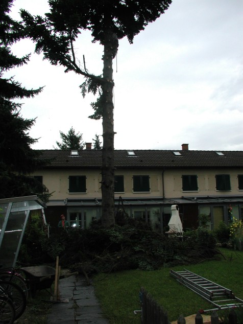 Mit Doppelklick auf das Foto, ffnet sich das grosse Foto