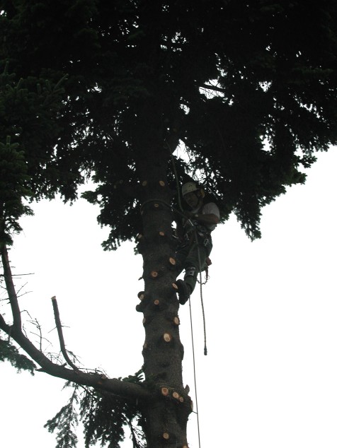 Mit Doppelklick auf das Foto, ffnet sich das grosse Foto