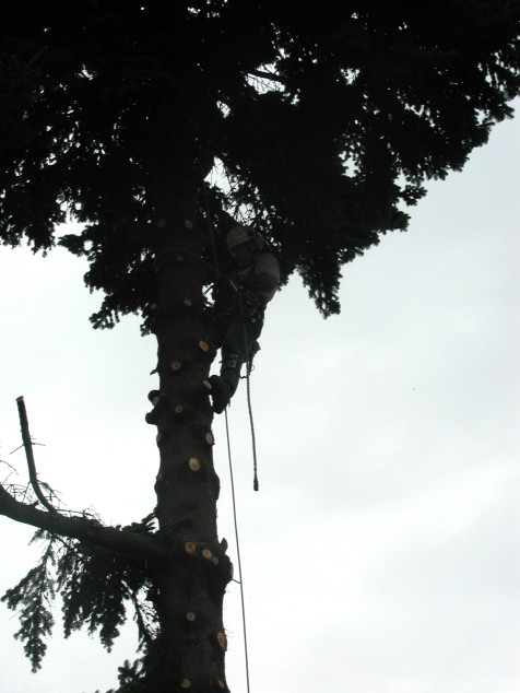 Mit Doppelklick auf das Foto, öffnet sich das grosse Foto