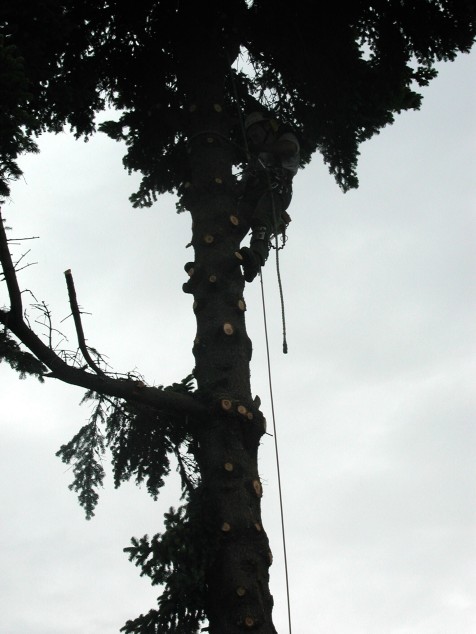 Mit Doppelklick auf das Foto, öffnet sich das grosse Foto