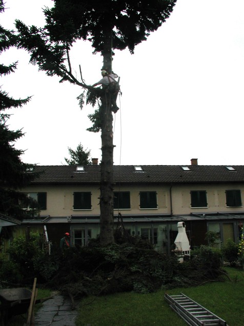 Mit Doppelklick auf das Foto, öffnet sich das grosse Foto