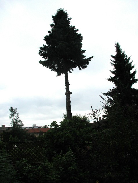 Mit Doppelklick auf das Foto, öffnet sich das grosse Foto