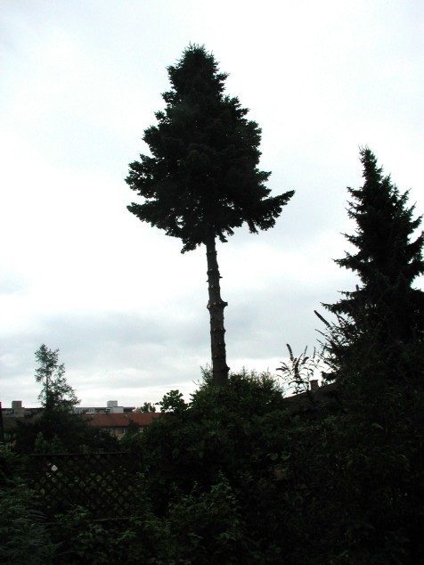 Mit Doppelklick auf das Foto, öffnet sich das grosse Foto